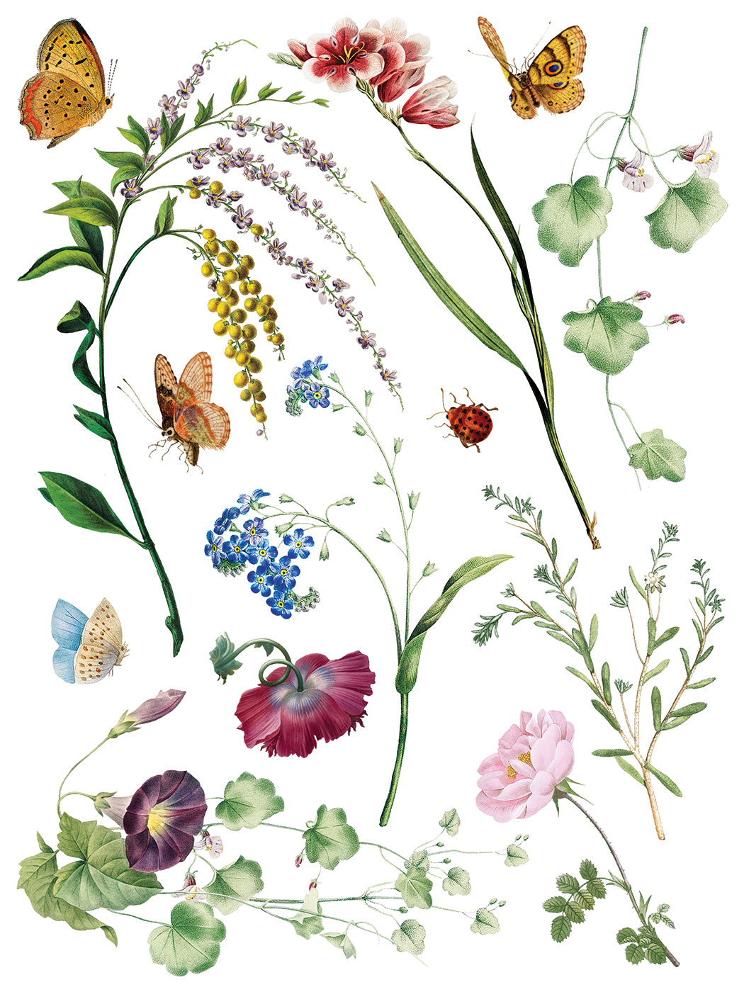 IOD Marché des Fleurs Transfer Page 3 featuring delicate vintage botanical artwork of pink roses, striped tulips, deep purple morning glories, sprigs of yellow blossoms, orange and blue butterflies, and a red ladybug on a plain white background.