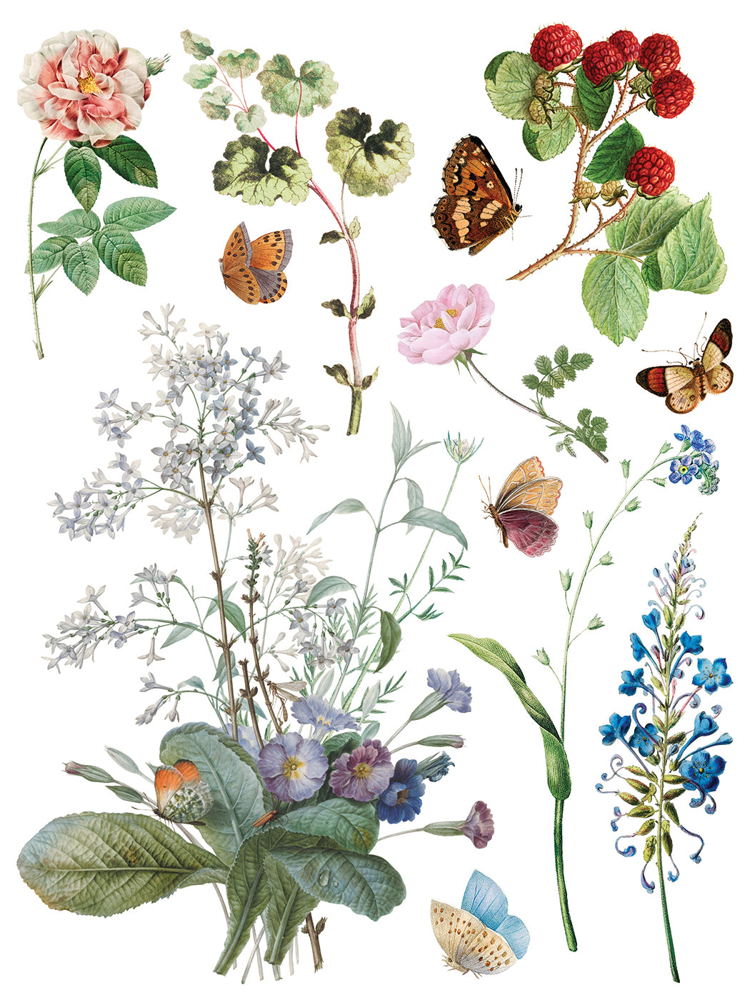 IOD Marché des Fleurs Transfer Page 4 showing vintage botanical artwork of ripe red raspberries on a vine with leaves, a full pink rose bloom, delicate tall white wildflowers, blue accent blossoms, and multiple fluttering butterflies and moths on a white background.