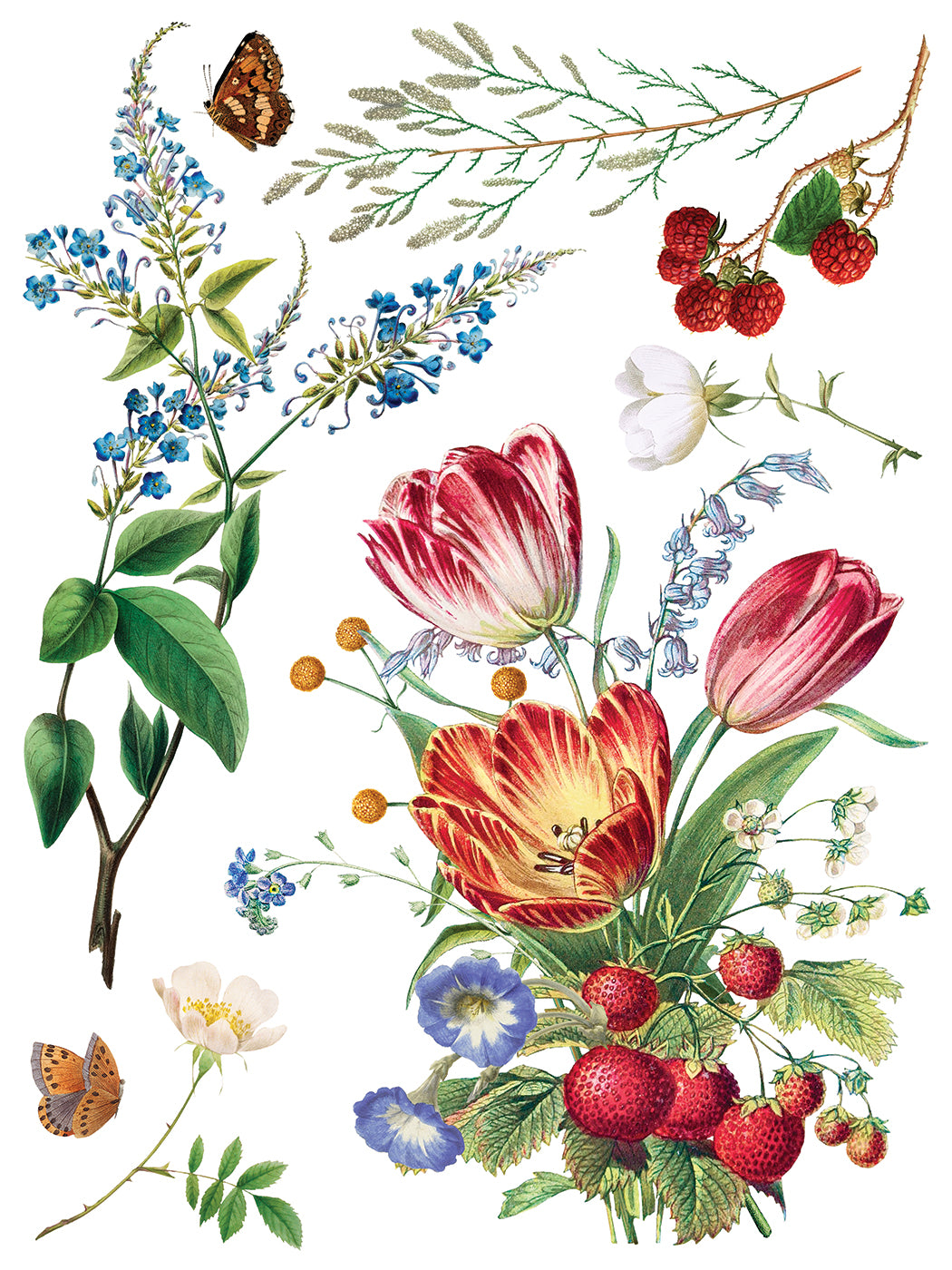 IOD Marché des Fleurs Transfer Page 5 showing vintage botanical artwork of striped red and yellow tulips, clusters of ripe red strawberries and raspberries, blue larkspur stems, delicate white blossoms, and two fluttering brown butterflies on a white background.