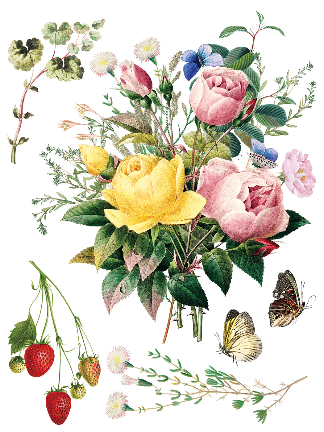 IOD Marché des Fleurs Transfer Page 7 featuring vintage botanical artwork of blooming pink and yellow cabbage roses, ripe red strawberries on a vine, blue and brown butterflies, and delicate wildflower stems on a plain white background.