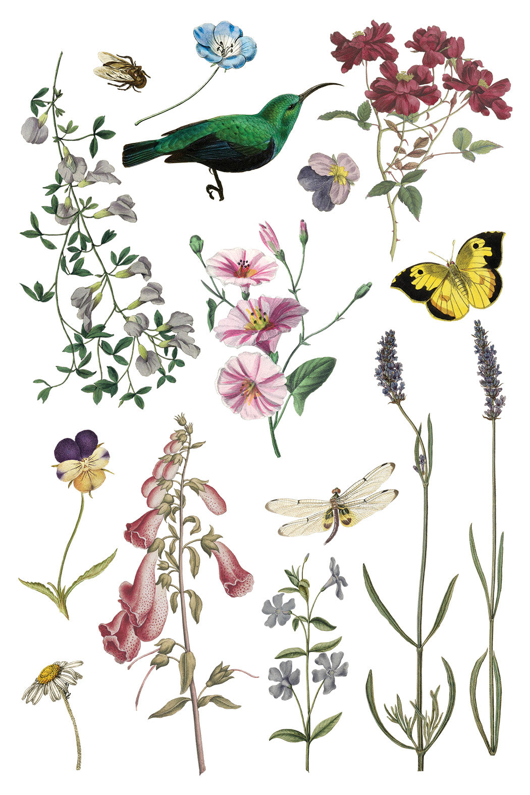 Illustration of various flowers and insects on a white background. IOD Iron Orchid Designs Wilde Beoemen Transfer page 2