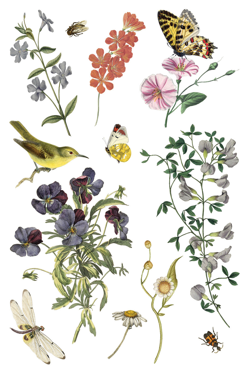 Illustrations of flowers, butterflies, and a bird on a white background. IOD Iron Orchid Designs Wilde Beoemen Transfer page 4