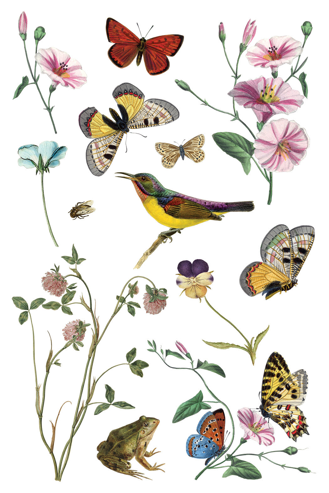 Illustration of butterflies, flowers, and a bird on a white background. IOD Iron Orchid Designs Wilde Beoemen Transfer page 5