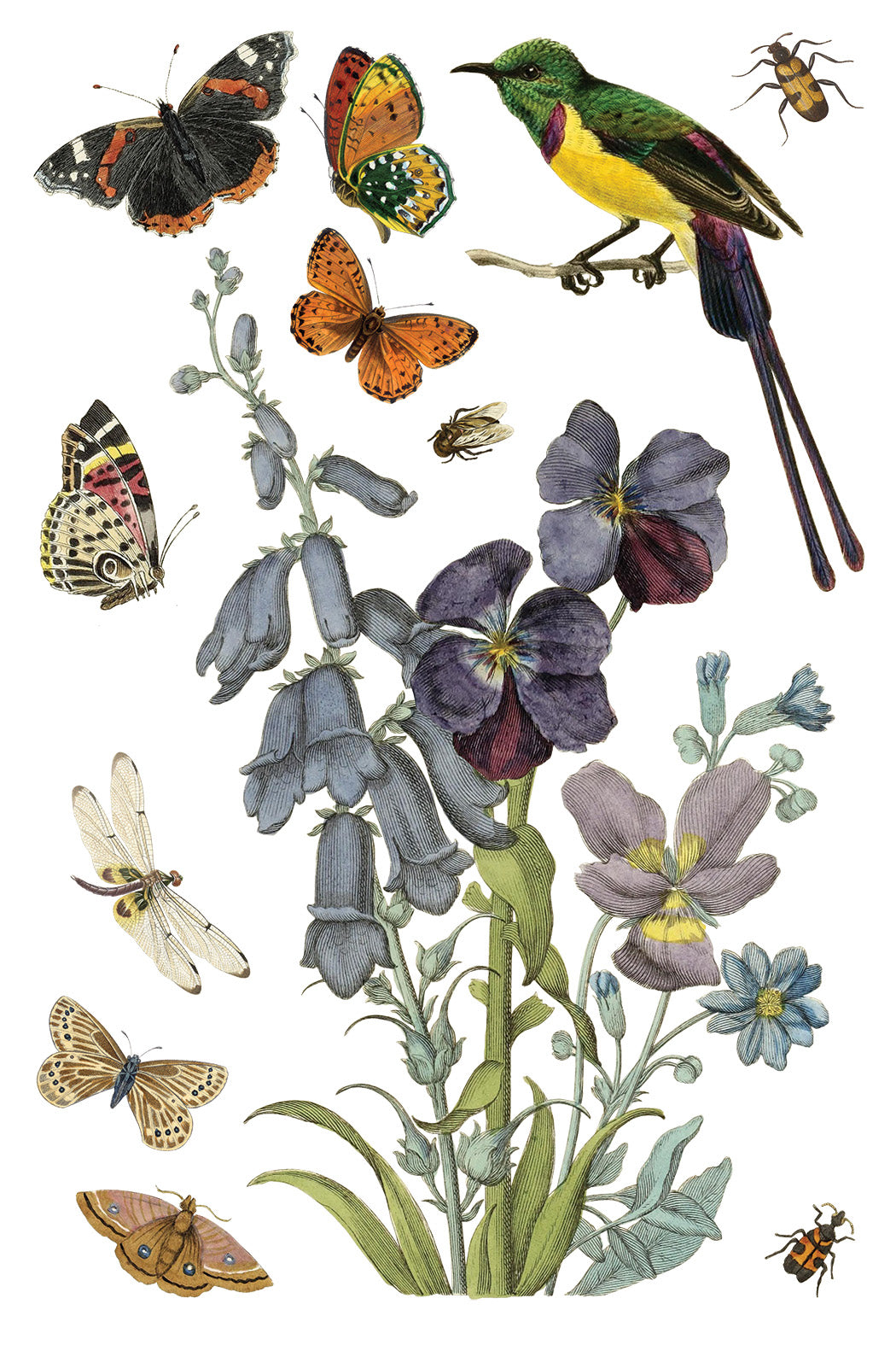 Illustration of butterflies, birds, and flowers on a white background. IOD Iron Orchid Designs Wilde Beoemen Transfer page 6