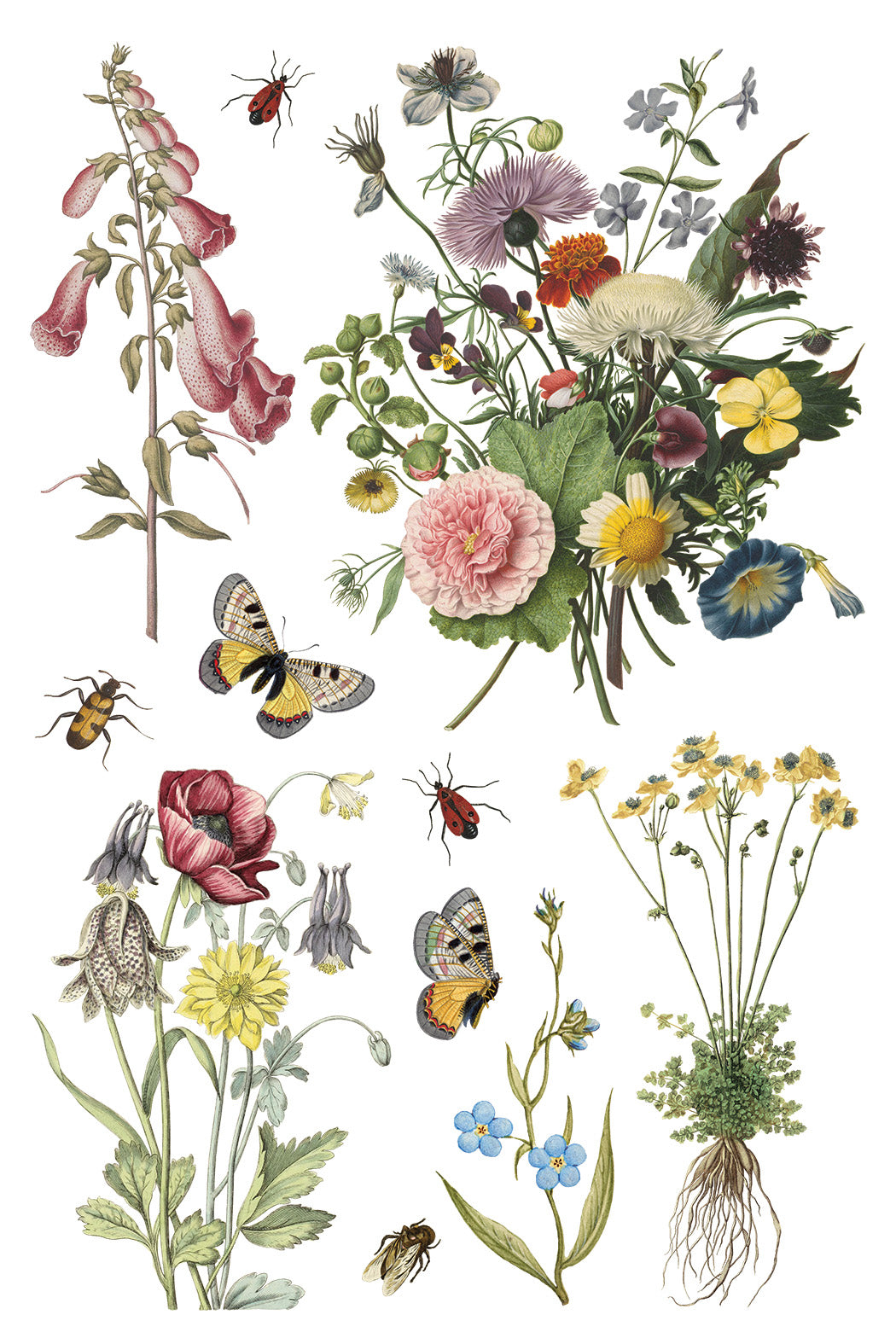 Illustrations of flowers and insects on a white background. IOD Iron Orchid Designs Wilde Beoemen Transfer page 8