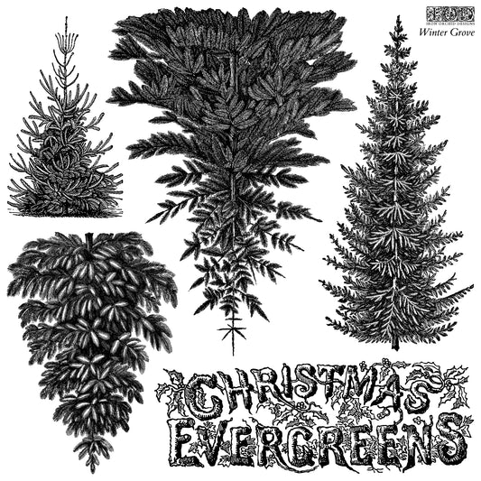 IOD Christmas Evergreens Decor Stamp artwork — five vintage botanical evergreen tree designs and holly Christmas Evergreens title lettering from the Winter Grove collection