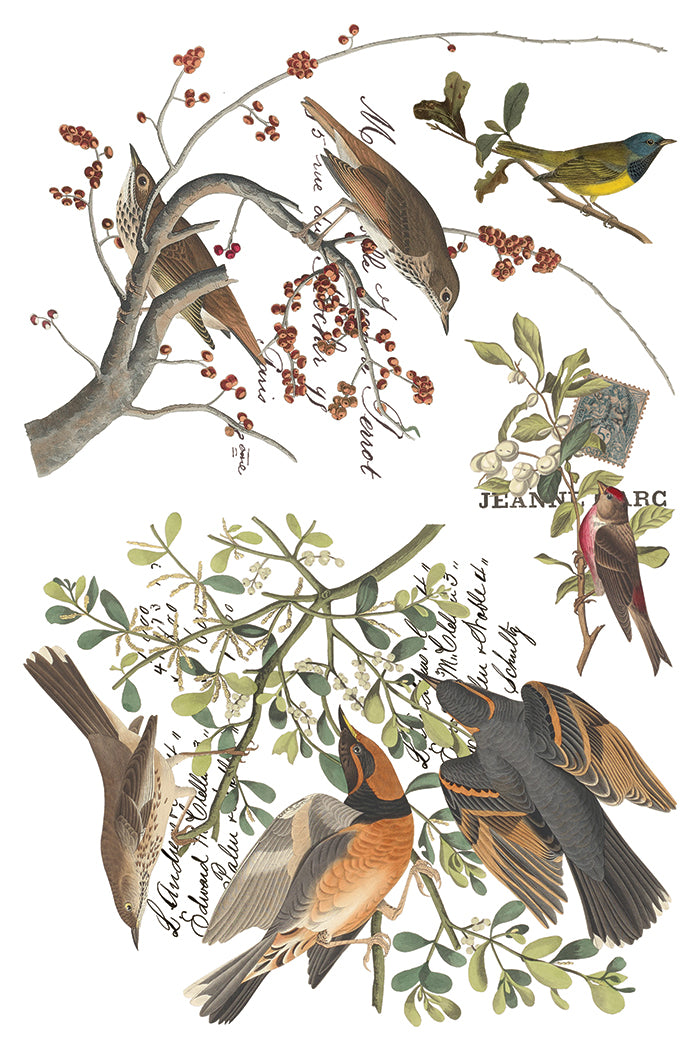 Winter's Calling Transfer – IOD Iron Orchid Designs