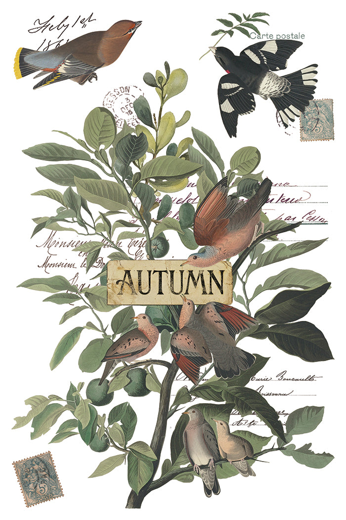Winter's Calling Transfer – IOD Iron Orchid Designs