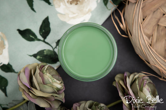 Kudzu- Dixie Belle Chalk Mineral Paint