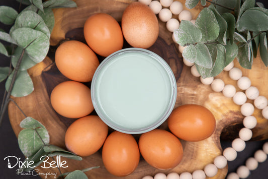 Duck Egg- Dixie Belle Chalk Mineral Paint