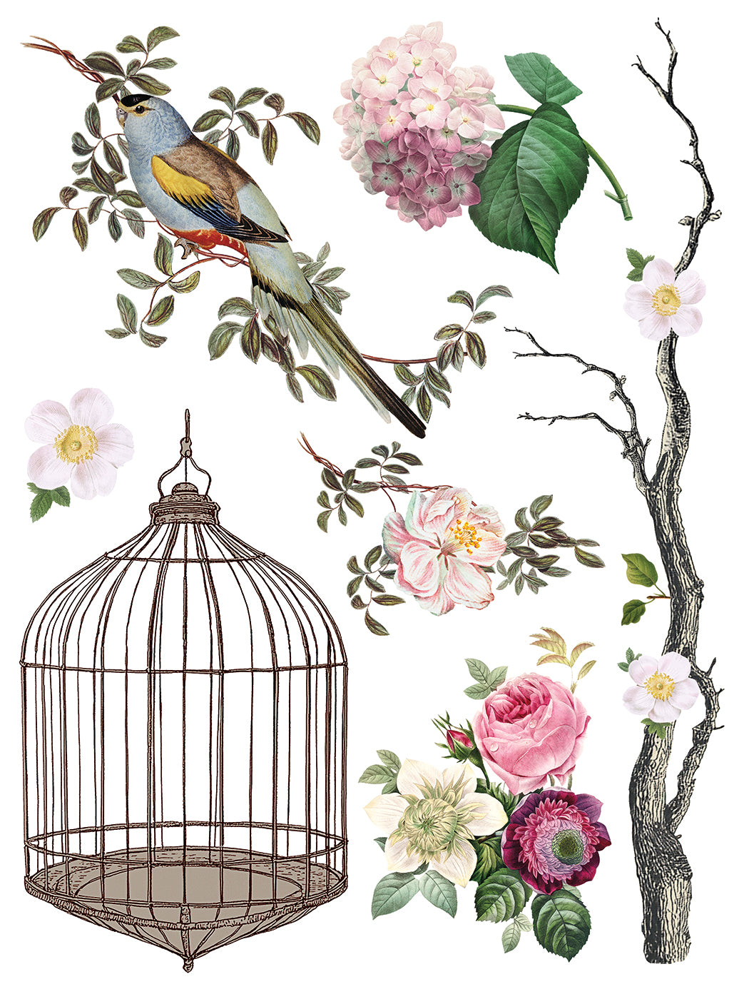 IOD Iron Orchid Designs Menagerie Transfer Vintage bird and botanical designs from IOD Menagerie Transfer page 2