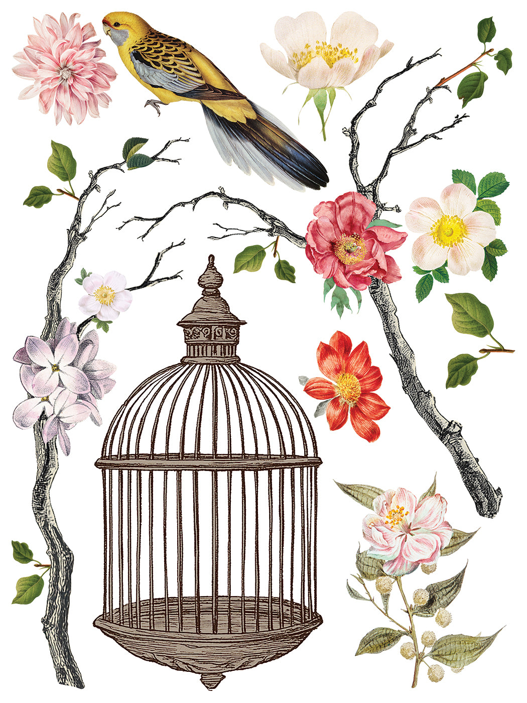IOD Iron Orchid Designs Menagerie Transfer Vintage bird and botanical designs from IOD Menagerie Transfer page 3