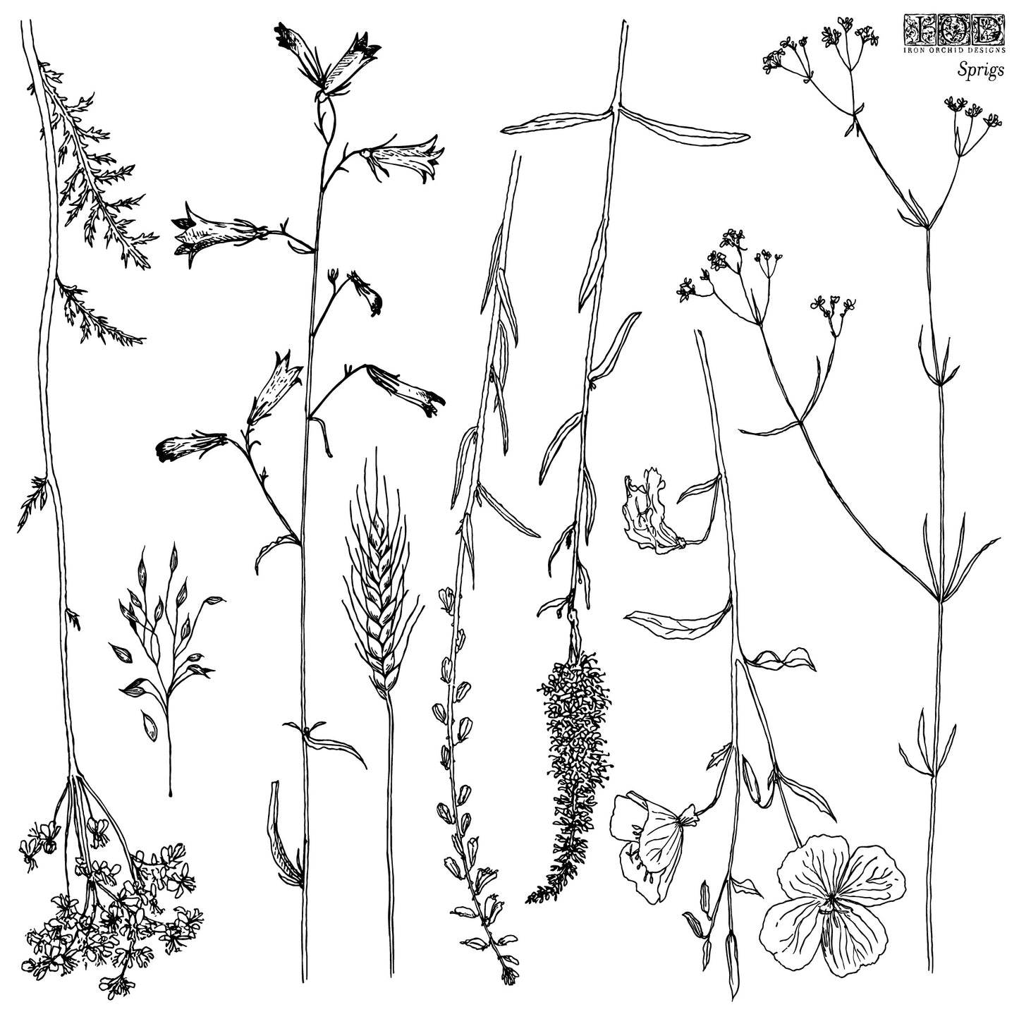 Sprigs Stamp (IOD) Iron Orchid Designs- 12x12